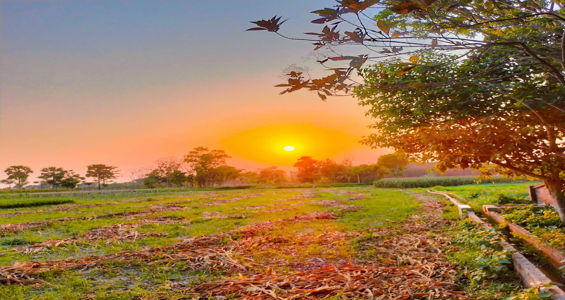 আমাদের লক্ষ্য